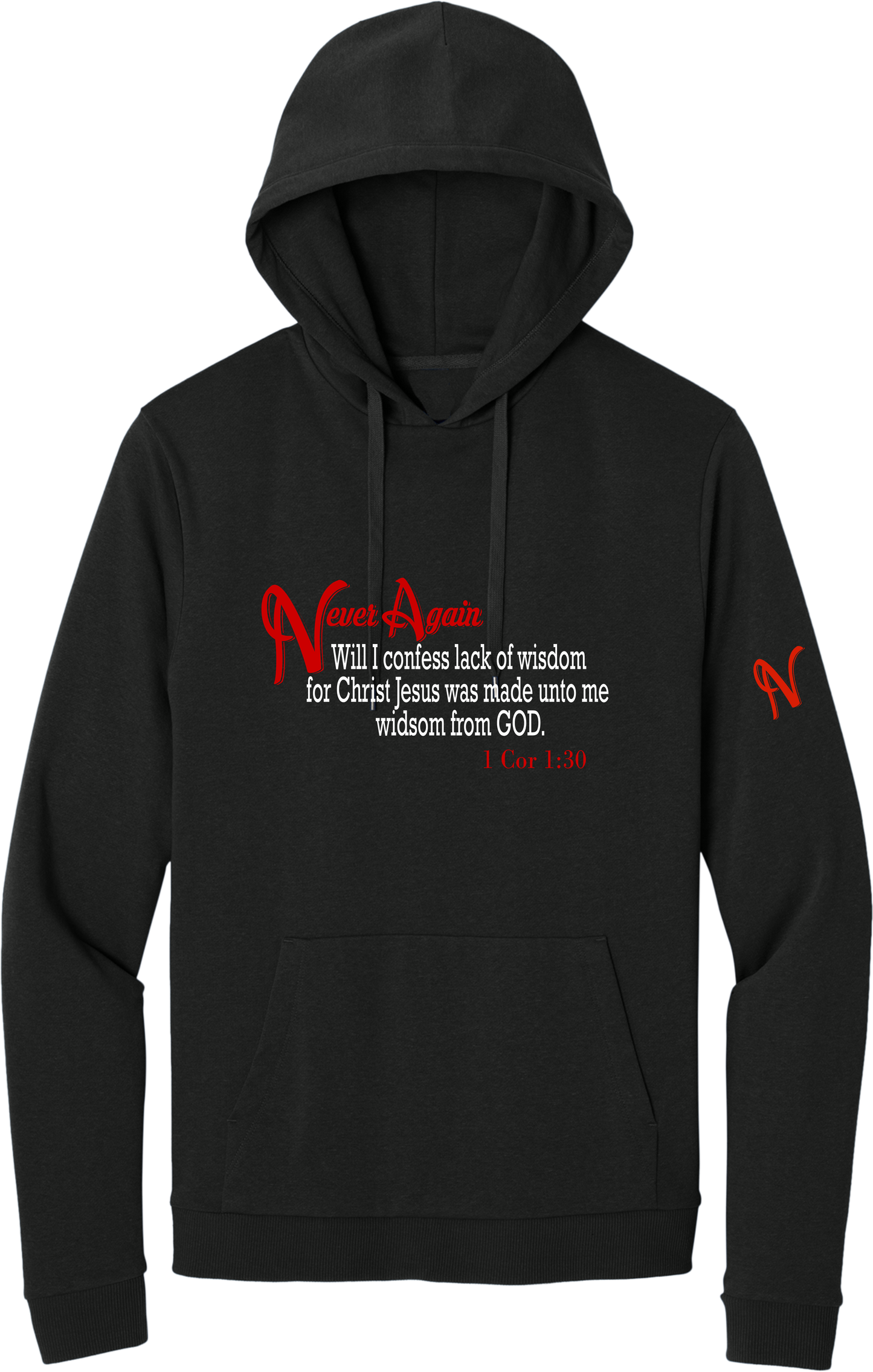 Never Again 1 Cor 130 Wisdom DT1300 Hoodie