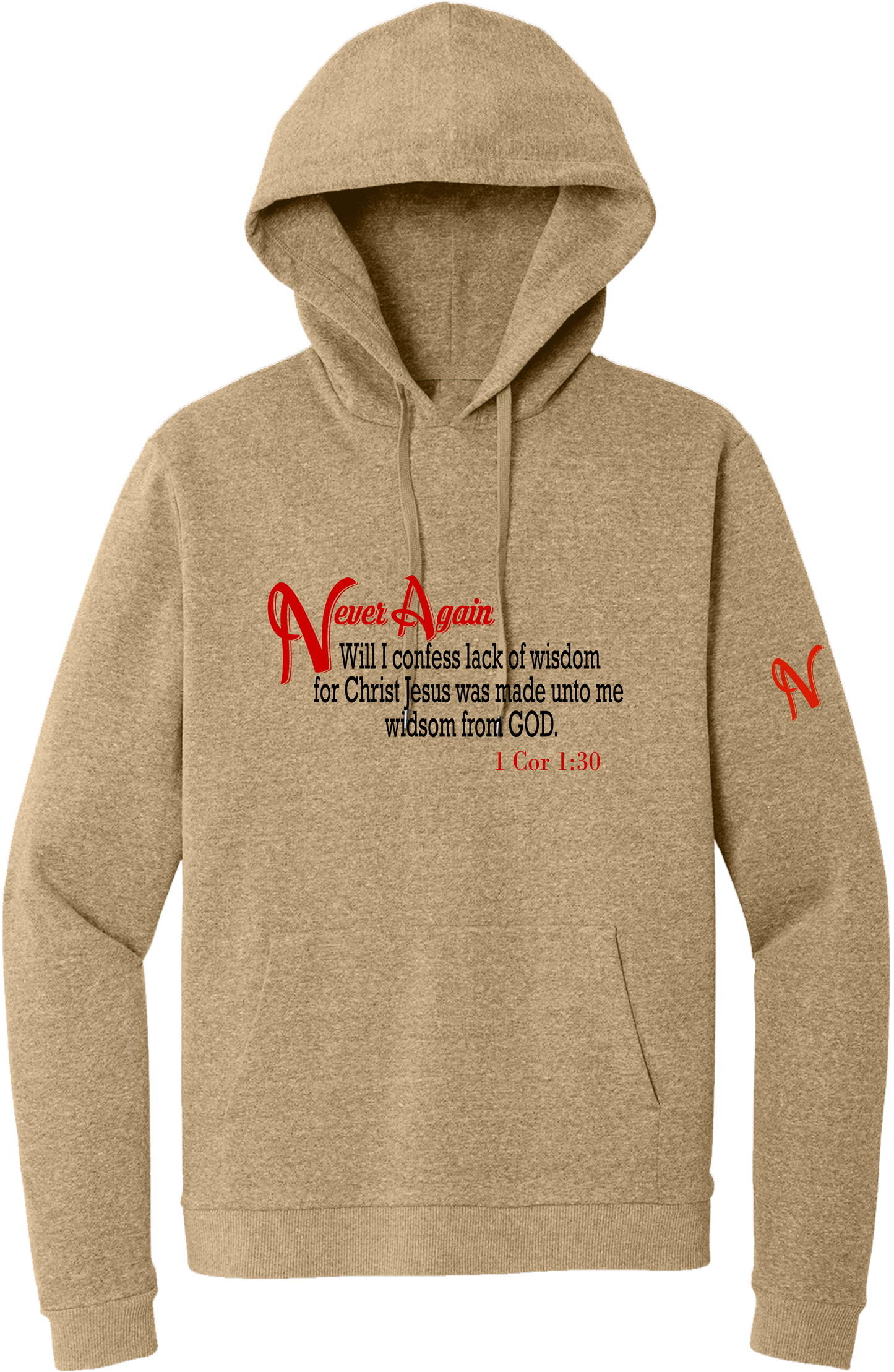 Never Again 1 Cor 130 Wisdom DT1300 Hoodie