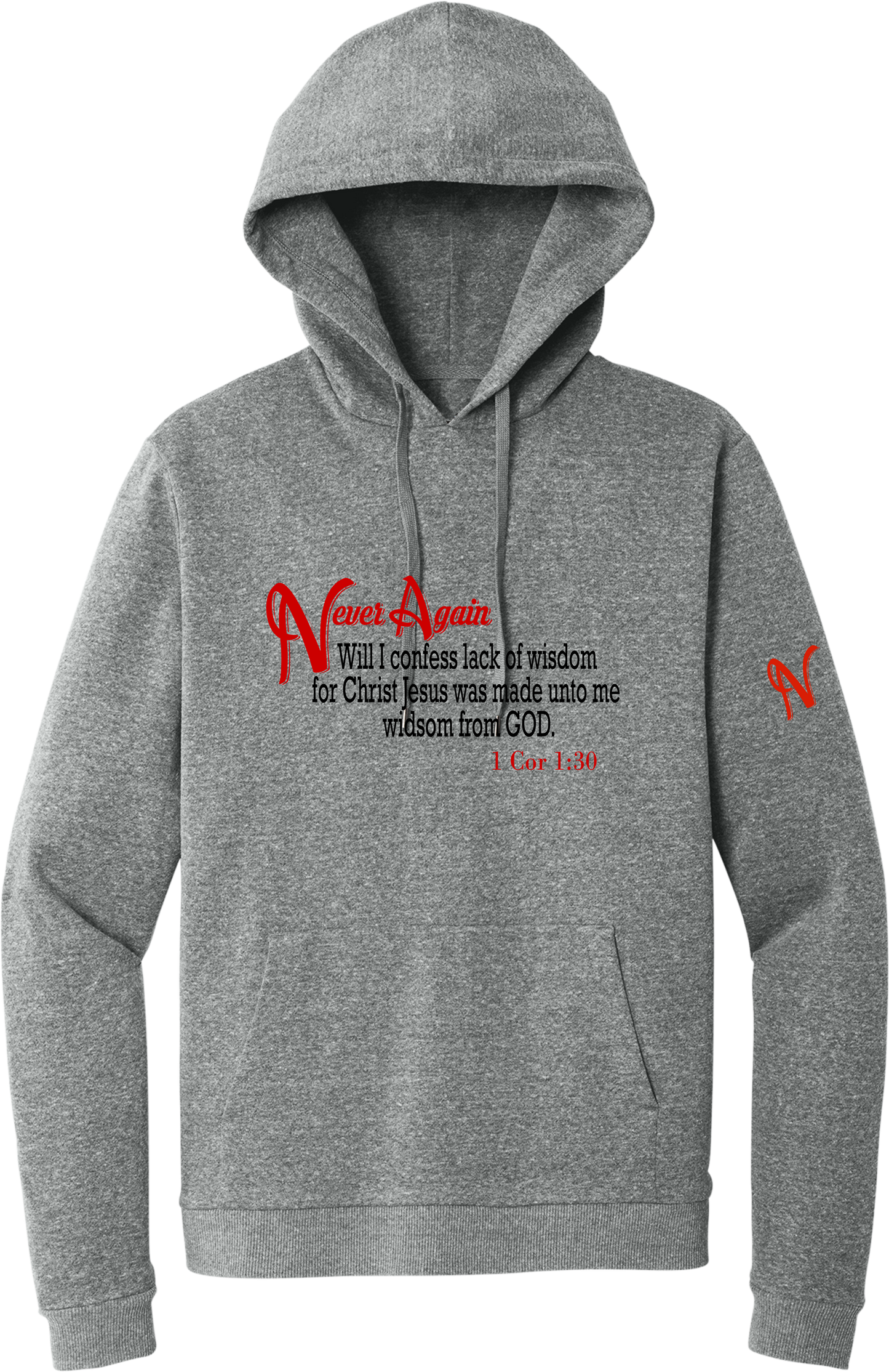 Never Again 1 Cor 130 Wisdom DT1300 Hoodie