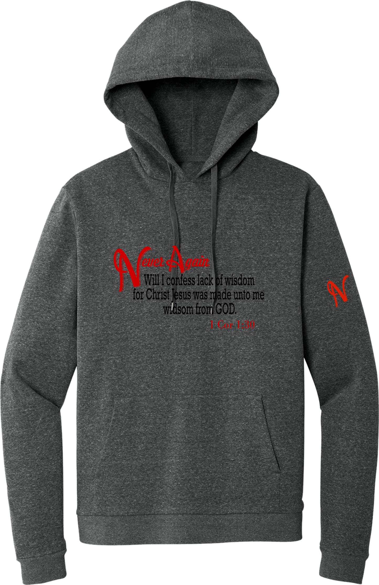 Never Again 1 Cor 130 Wisdom DT1300 Hoodie