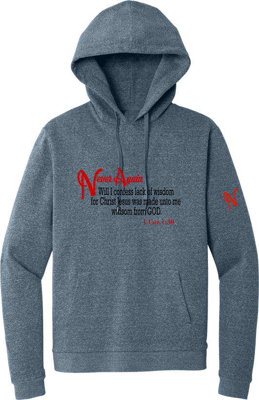 Never Again 1 Cor 130 Wisdom DT1300 Hoodie