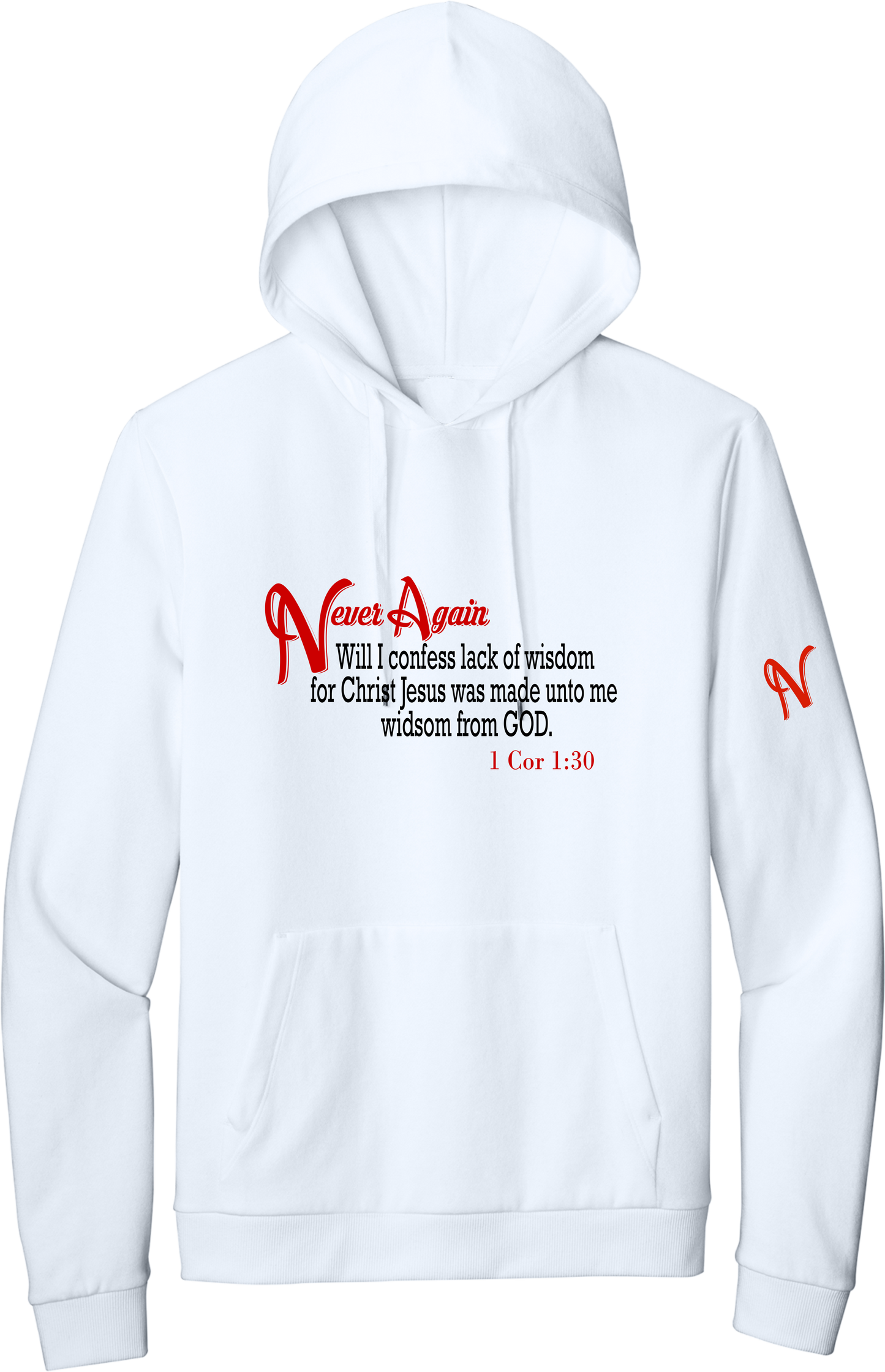 Never Again 1 Cor 130 Wisdom DT1300 Hoodie