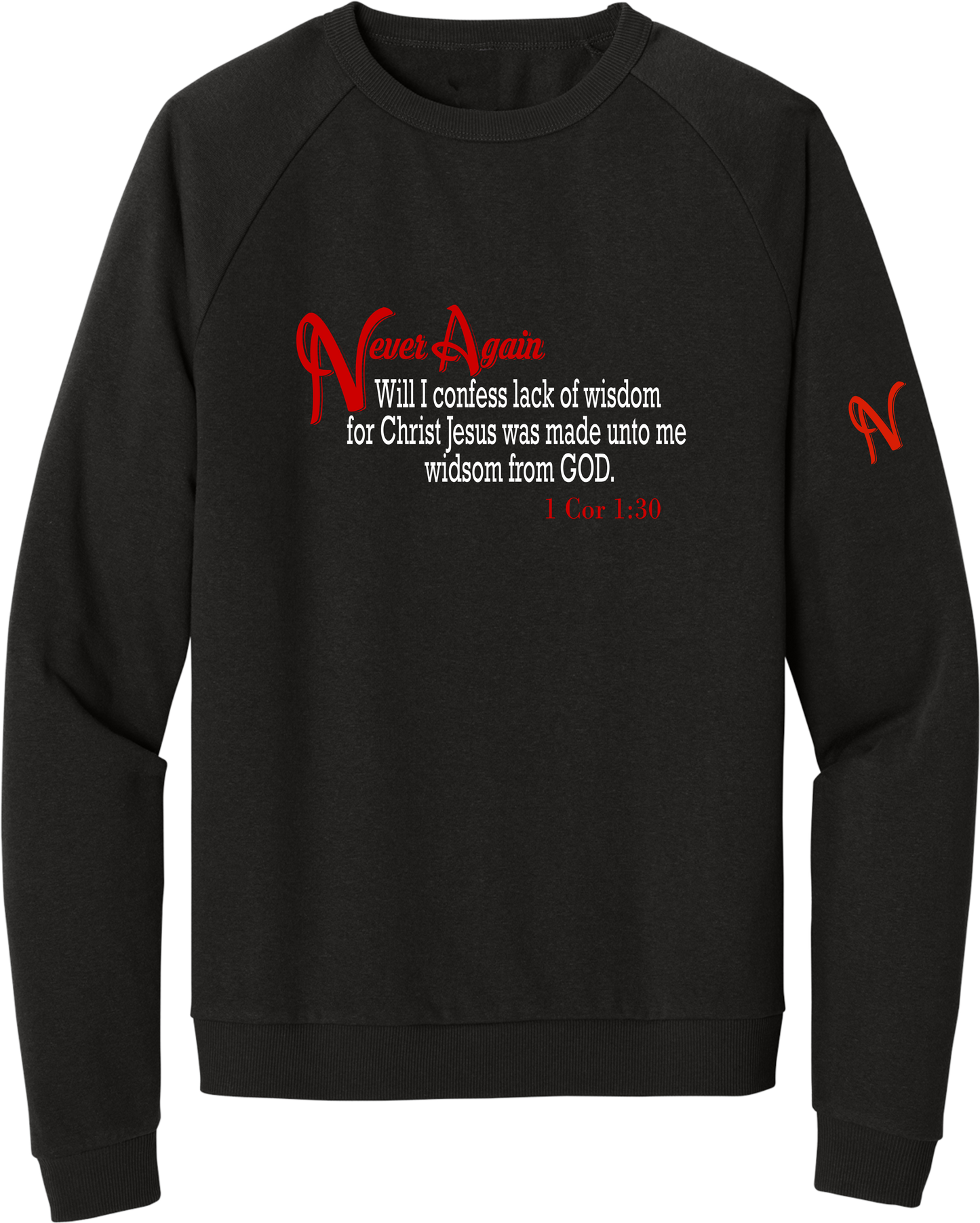 Never Again 1 Cor 130 Wisdom DT1304 Sweatshirt