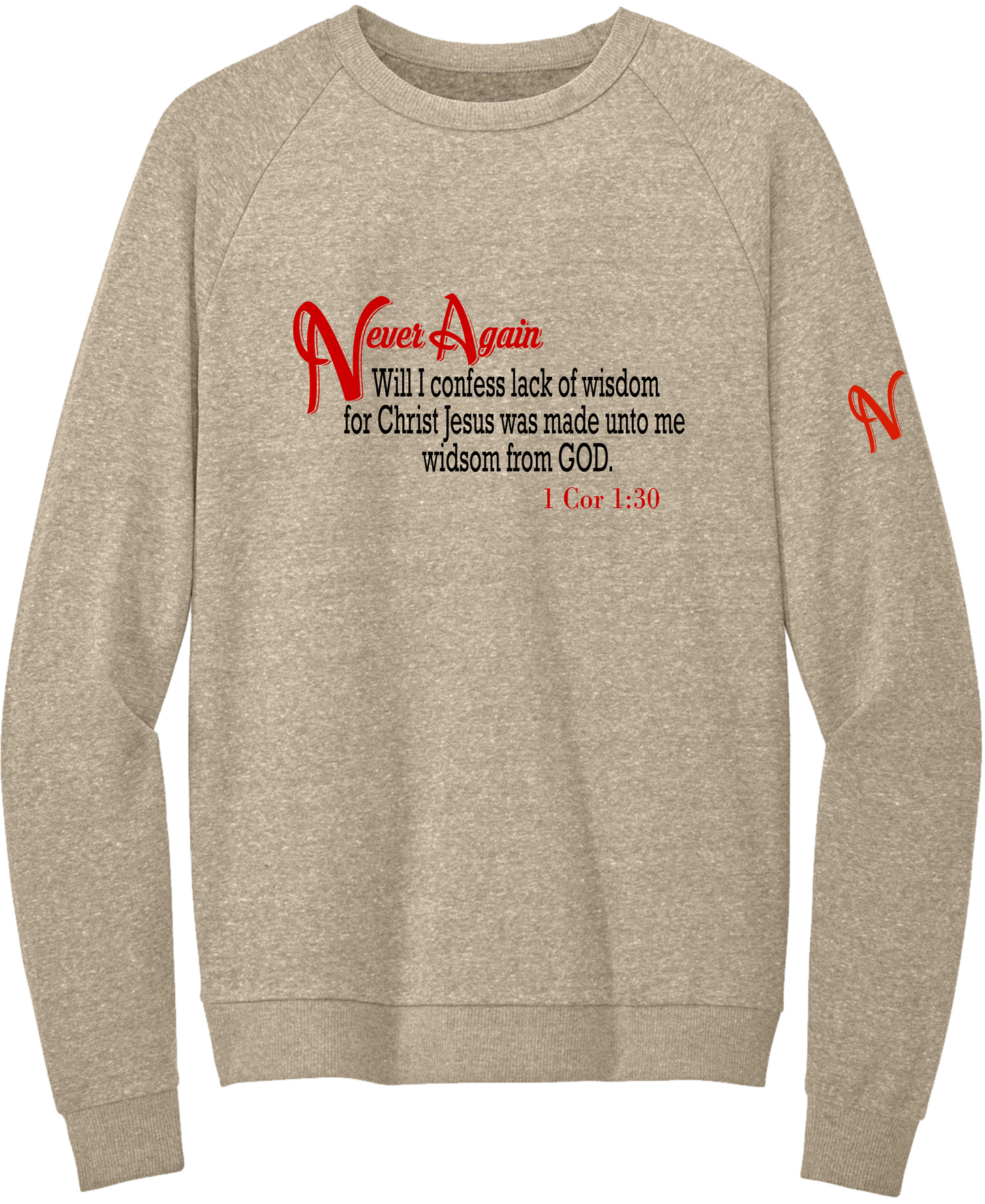 Never Again 1 Cor 130 Wisdom DT1304 Sweatshirt