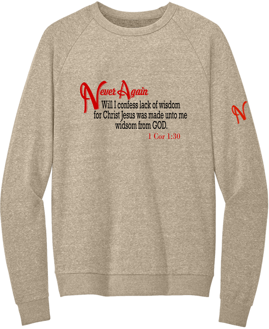 Never Again 1 Cor 130 Wisdom DT1304 Sweatshirt